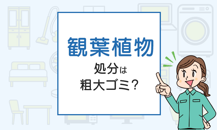 観葉植物の処分は粗大ゴミ？処分方法を解説